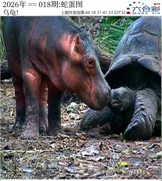 018期正版蛇蛋图[图]