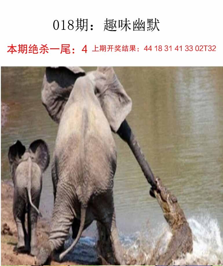 018期趣味幽默[图]