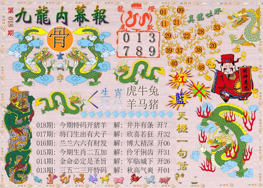 018期九龙内幕报[图]