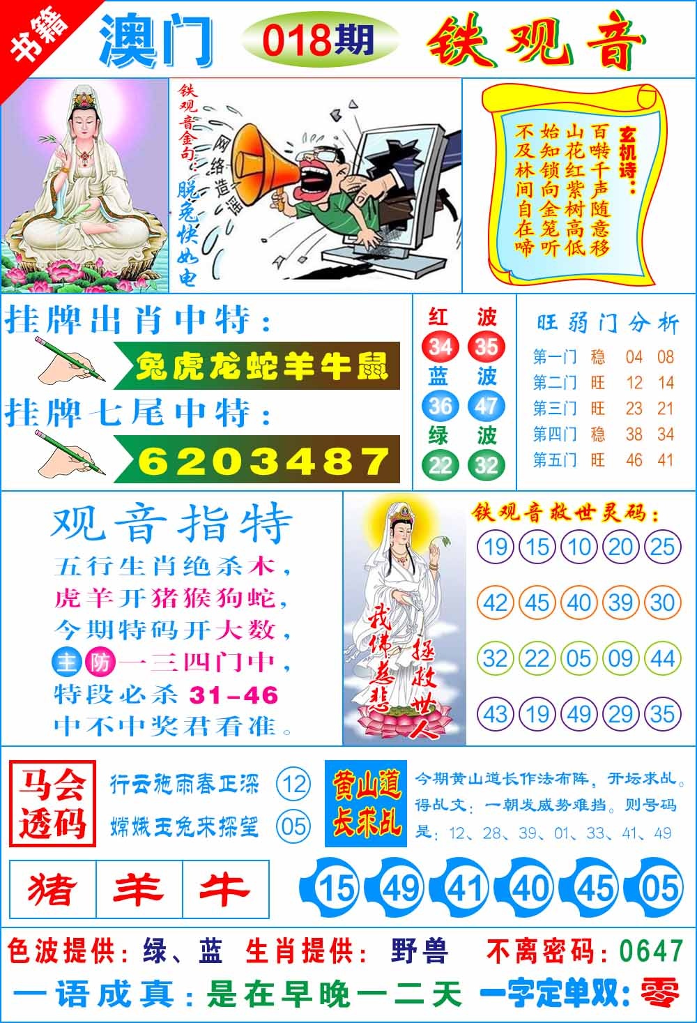 018期澳门铁观音[图]