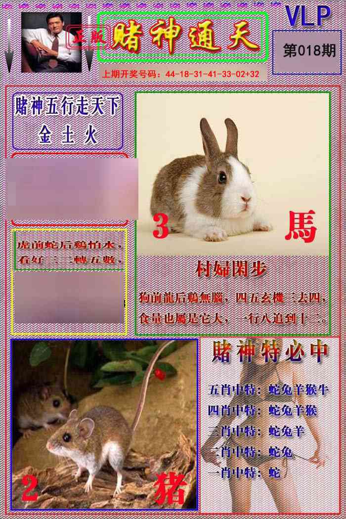 018期赌神通天报[图]