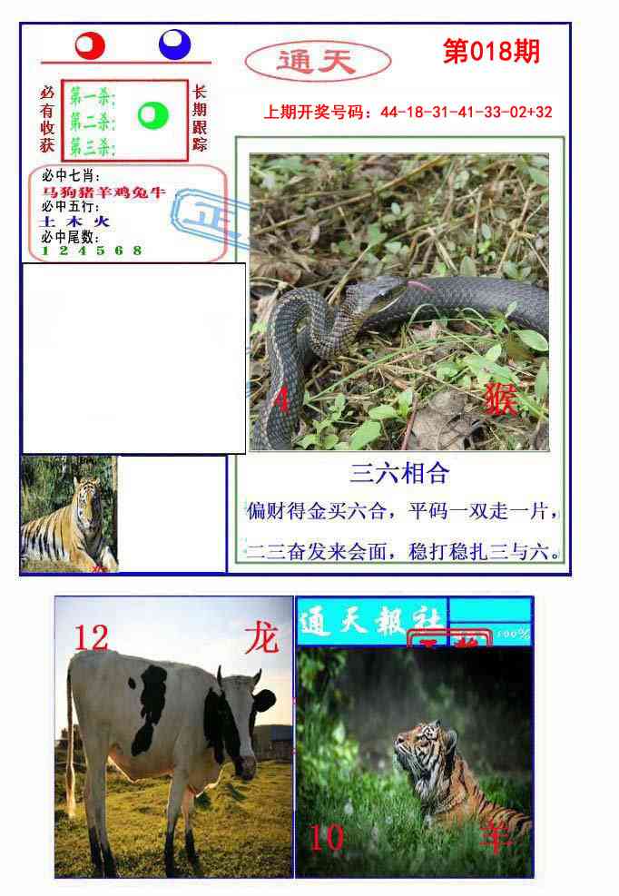 018期通天杀波图2[图]