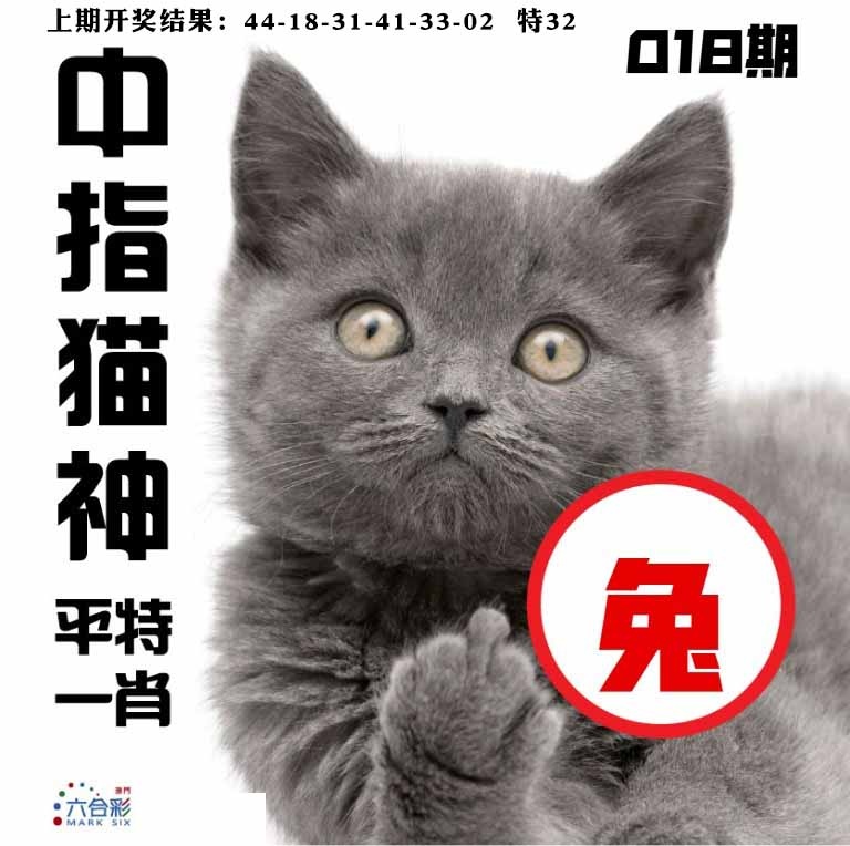 018期中指猫神[图]